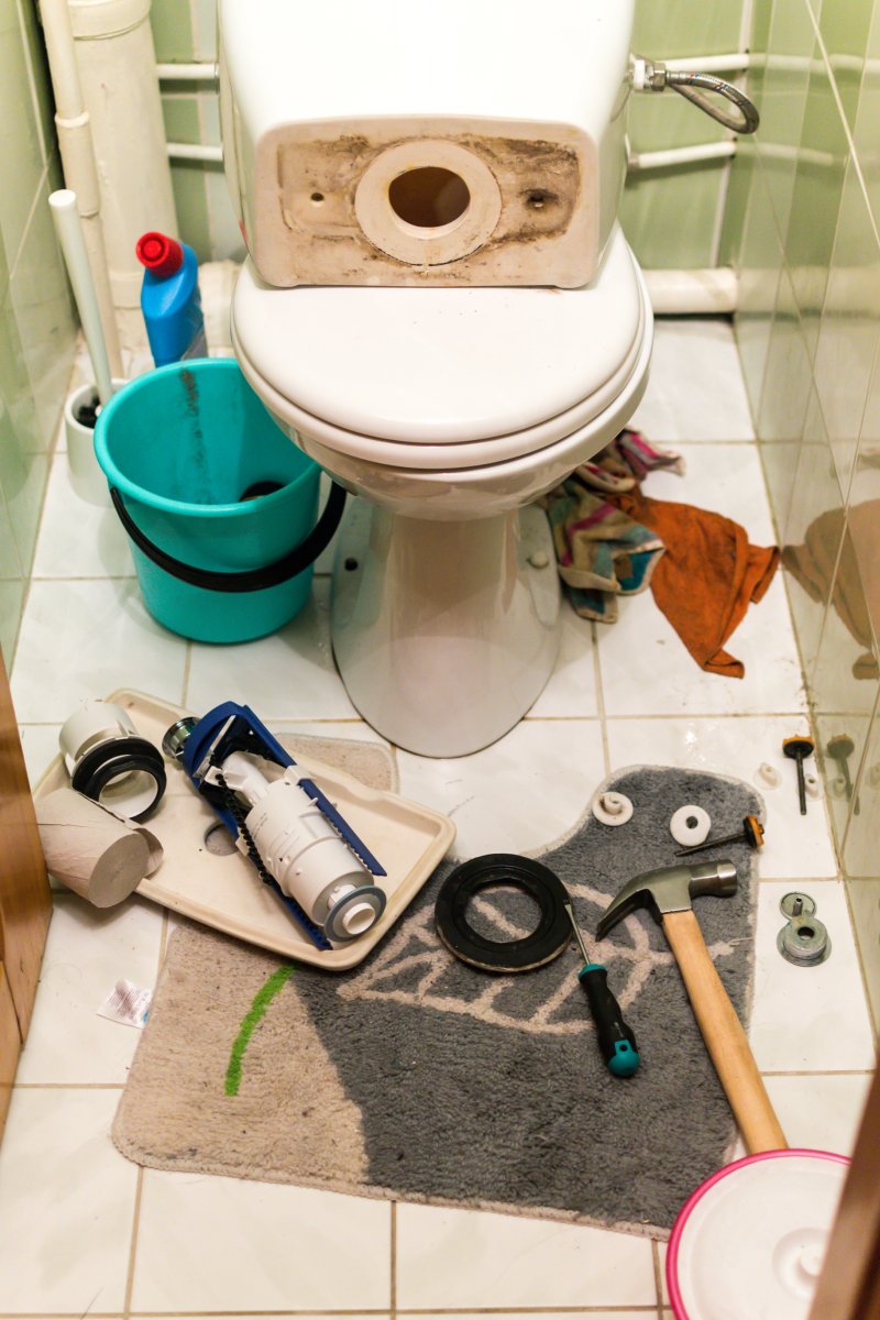 Blocked Toilet Oxhey, South Oxhey, WD19