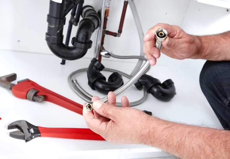 Clogged Toilet Repair Oxhey, South Oxhey, WD19